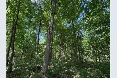 11933 S Lake Chapin Road, Berrien Springs, MI 49103 - Photo 8