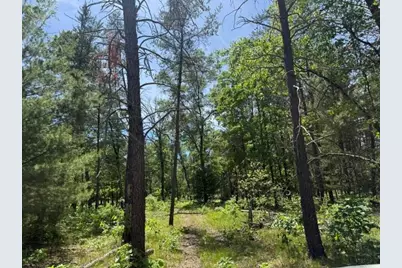 Parcel 2 Grove Street, Baldwin, MI 49304 - Photo 2