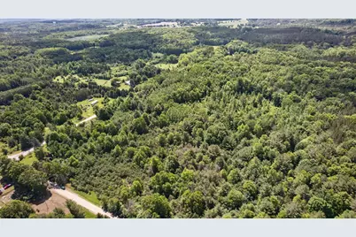 V/L S Deer Lake Road, Reed City, MI 49677 - Photo 8