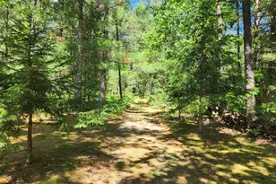 934 E 72nd St, Idlewild, MI 49642 - Photo 18