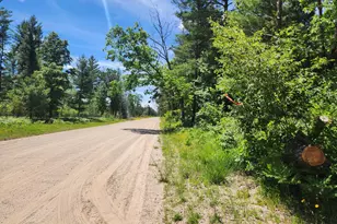 934 E 72nd St, Idlewild, MI 49642 - Photo 20