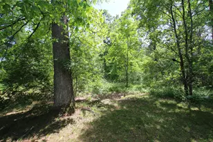 2259 E 40th St, Idlewild, MI 49642 - Photo 20