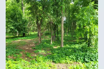 Ernest Street, Brooklyn, MI 49230 - Photo 6