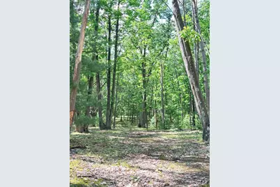 10322 E 40th Street, Reed City, MI 49677 - Photo 4