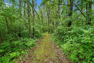 V/L Forest Shores Dr, Cassopolis, MI 49031 - Photo 1