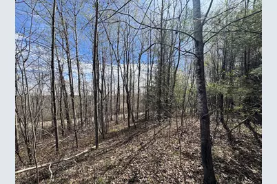 Vl Curtisville Road, Mio, MI 48647 - Photo 30