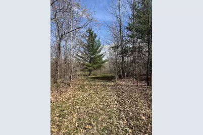 Vl Curtisville Road, Mio, MI 48647 - Photo 38