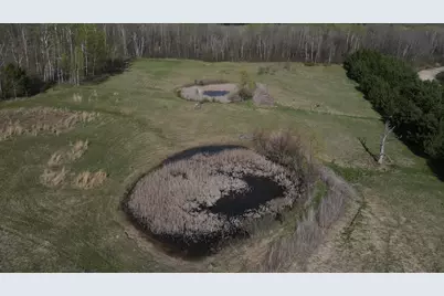Vl Curtisville Road, Mio, MI 48647 - Photo 10