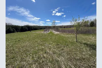 Vl Curtisville Road, Mio, MI 48647 - Photo 58