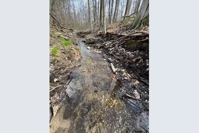 Vl Curtisville Road, Mio, MI 48647 - Photo 126