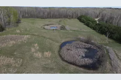 Vl Curtisville Road, Mio, MI 48647 - Photo 6