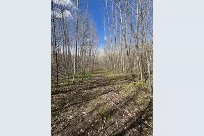 Vl Curtisville Road, Mio, MI 48647 - Photo 88