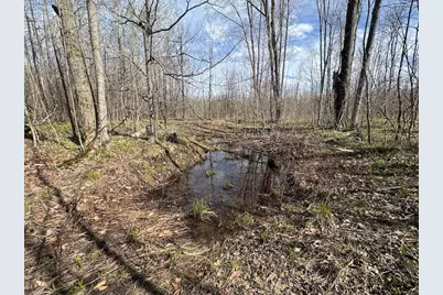 Vl Curtisville Road, Mio, MI 48647 - Photo 118