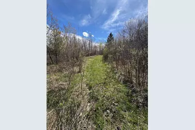 Vl Curtisville Road, Mio, MI 48647 - Photo 40