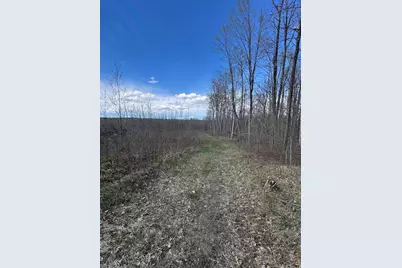 Vl Curtisville Road, Mio, MI 48647 - Photo 82