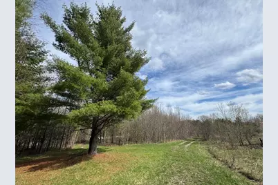 Vl Curtisville Road, Mio, MI 48647 - Photo 132