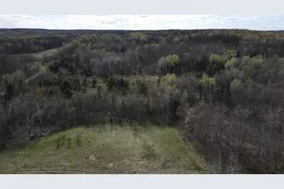 Vl Curtisville Road, Mio, MI 48647 - Photo 16