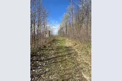 Vl Curtisville Road, Mio, MI 48647 - Photo 78