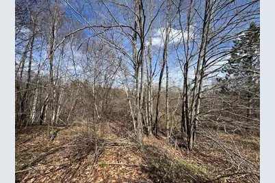 Vl Curtisville Road, Mio, MI 48647 - Photo 28