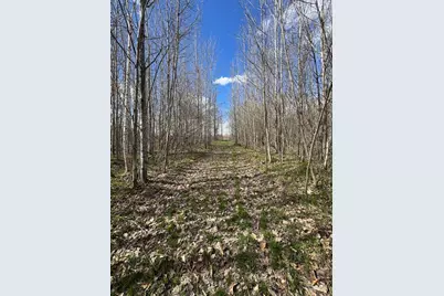 Vl Curtisville Road, Mio, MI 48647 - Photo 108