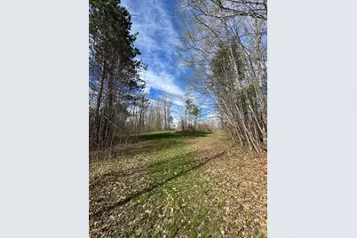 Vl Curtisville Road, Mio, MI 48647 - Photo 128