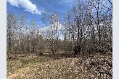 Vl Curtisville Road, Mio, MI 48647 - Photo 26