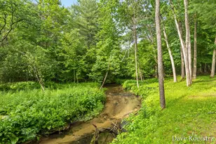 5133 Streamside Ct NE, Rockford, MI 49341 - Photo 8