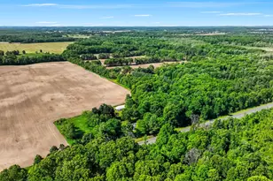 16077 M-216, Three Rivers, MI 49093 - Photo 18