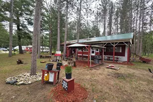 1909 W 16th St, Baldwin, MI 49304 - Photo 2