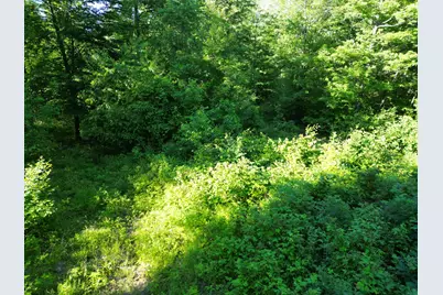 5170 Rocky Top Parcel B Lane, Pierson, MI 49339 - Photo 8