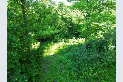 5170 Rocky Top Parcel B Lane, Pierson, MI 49339 - Photo 12