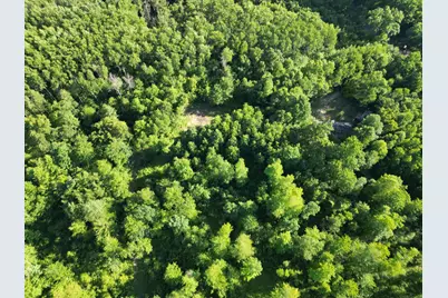 5170 Rocky Top Parcel C Lane, Pierson, MI 49339 - Photo 2
