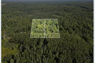 5170 Rocky Top Parcel C Lane, Pierson, MI 49339 - Photo 12