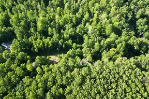 5170 Rocky Top Ln Parcel C, Pierson, MI 49339 - Photo 1