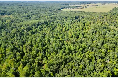 5170 Rocky Top Parcel C Lane, Pierson, MI 49339 - Photo 16