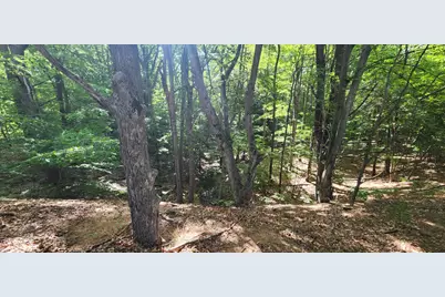 5026 W Harrison Road, Hart, MI 49420 - Photo 38