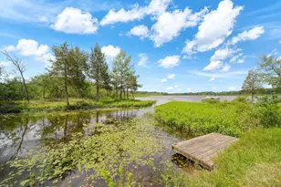 303 Cranberry Lake Rd, Jackson, MI 49201 - Photo 2