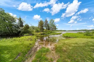 303 Cranberry Lake Rd, Jackson, MI 49201 - Photo 32