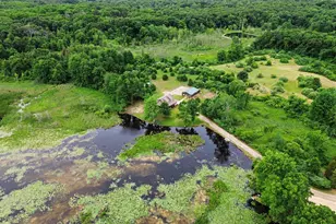 15303 Seymour Rd, Grass Lake, MI 49240 - Photo 46