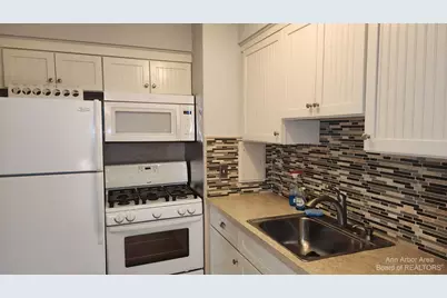 1217 Island Drive #204, Ann Arbor, MI 48105 - Photo 2