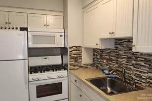 1217 Island Dr, Ann Arbor, MI 48105 - Photo 2