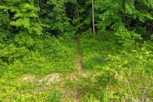 2453 108th Ave, Otsego, MI 49078 - Photo 28