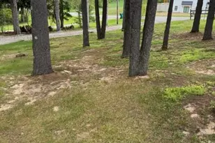 67224 Klinger Lake Rd, Sturgis, MI 49091 - Photo 30