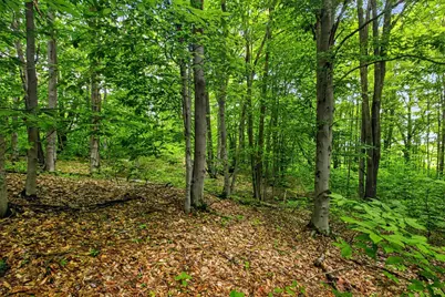 V/L E 24th Street, Reed City, MI 49677 - Photo 2