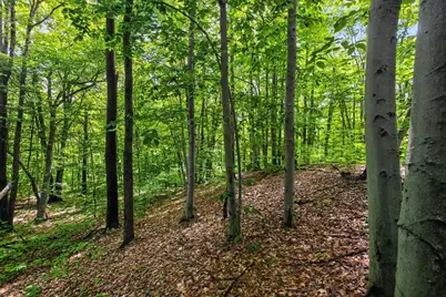 V/L E 24th Street, Reed City, MI 49677 - Photo 6