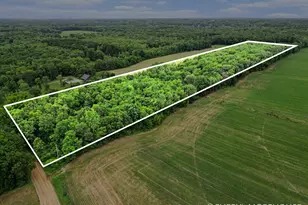 1951 N Norris Rd, Middleville, MI 49333 - Photo 20