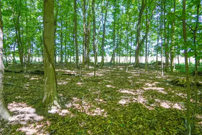 V/L 131.43 E Hazel Road, Hart, MI 49420 - Photo 84