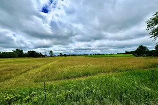 V/L W Lake Montcalm Rd, Howard City, MI 49329 - Photo 1