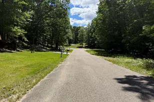 8980 Canyon Springs Ct, Canadian Lakes, MI 49346 - Photo 32
