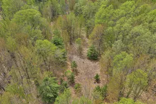 2560 S 25 Rd, Boon, MI 49618 - Photo 80